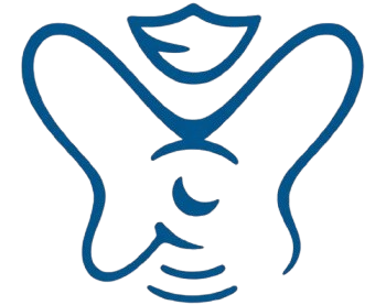 bottem logo removebg preview removebg preview